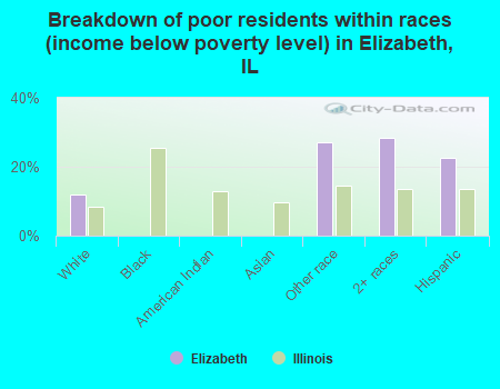 Breakdown of poor residents within races (income below poverty level) in Elizabeth, IL