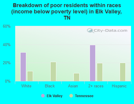 Breakdown of poor residents within races (income below poverty level) in Elk Valley, TN