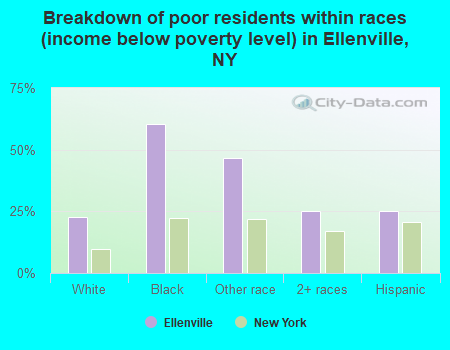 Breakdown of poor residents within races (income below poverty level) in Ellenville, NY