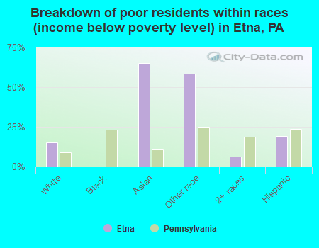 Breakdown of poor residents within races (income below poverty level) in Etna, PA