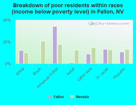 Breakdown of poor residents within races (income below poverty level) in Fallon, NV