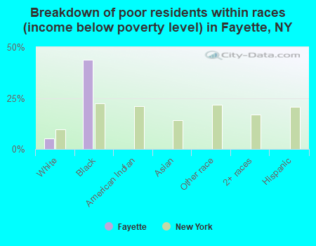 Breakdown of poor residents within races (income below poverty level) in Fayette, NY