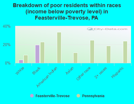 Breakdown of poor residents within races (income below poverty level) in Feasterville-Trevose, PA