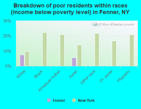 Breakdown of poor residents within races (income below poverty level) in Fenner, NY