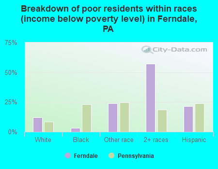 Breakdown of poor residents within races (income below poverty level) in Ferndale, PA