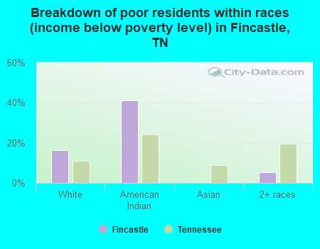 Breakdown of poor residents within races (income below poverty level) in Fincastle, TN
