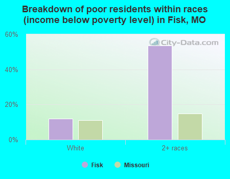 Breakdown of poor residents within races (income below poverty level) in Fisk, MO