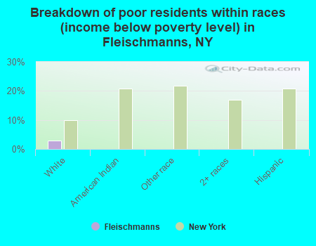 Breakdown of poor residents within races (income below poverty level) in Fleischmanns, NY