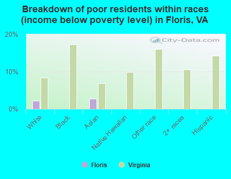 Breakdown of poor residents within races (income below poverty level) in Floris, VA