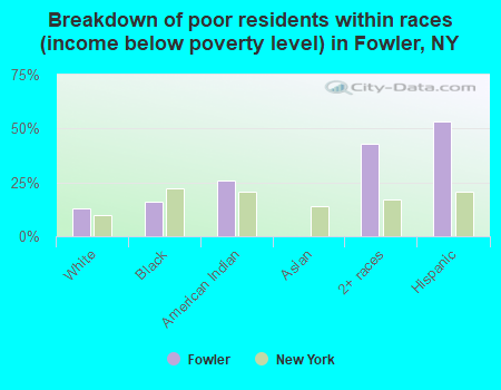 Breakdown of poor residents within races (income below poverty level) in Fowler, NY