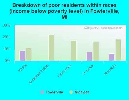 Breakdown of poor residents within races (income below poverty level) in Fowlerville, MI