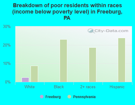 Breakdown of poor residents within races (income below poverty level) in Freeburg, PA
