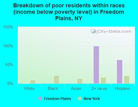 Breakdown of poor residents within races (income below poverty level) in Freedom Plains, NY