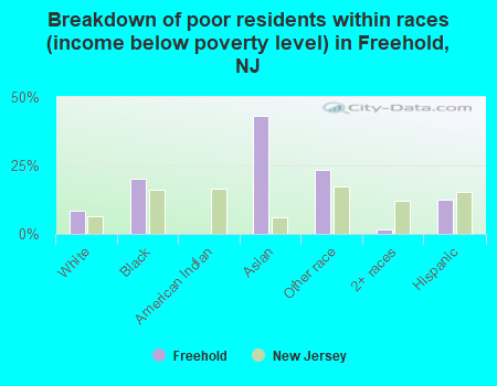 Breakdown of poor residents within races (income below poverty level) in Freehold, NJ