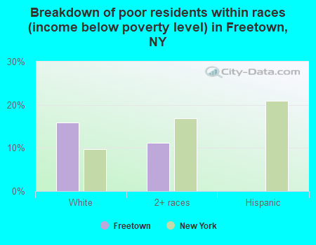 Breakdown of poor residents within races (income below poverty level) in Freetown, NY