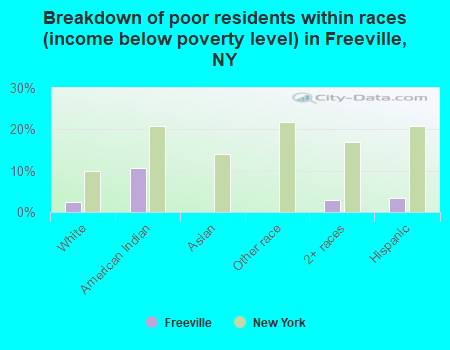 Breakdown of poor residents within races (income below poverty level) in Freeville, NY