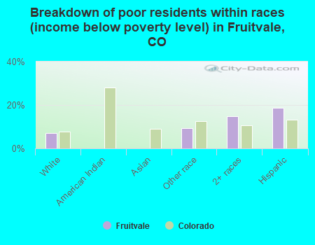 Breakdown of poor residents within races (income below poverty level) in Fruitvale, CO