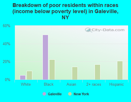 Breakdown of poor residents within races (income below poverty level) in Galeville, NY