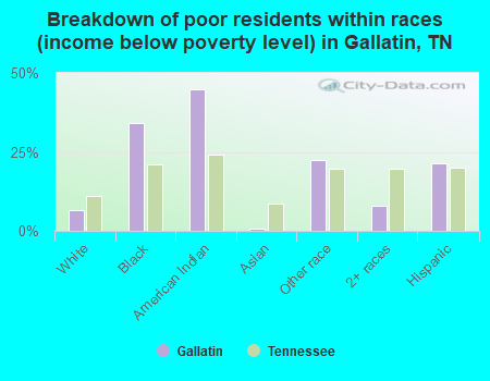 Breakdown of poor residents within races (income below poverty level) in Gallatin, TN
