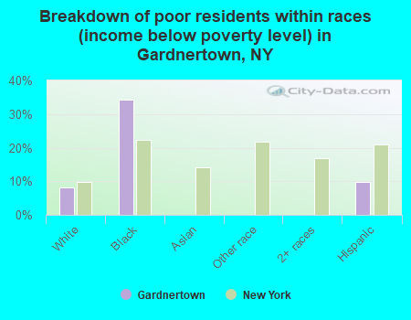 Breakdown of poor residents within races (income below poverty level) in Gardnertown, NY