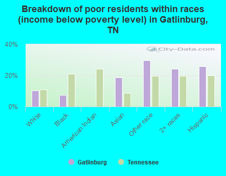 Breakdown of poor residents within races (income below poverty level) in Gatlinburg, TN