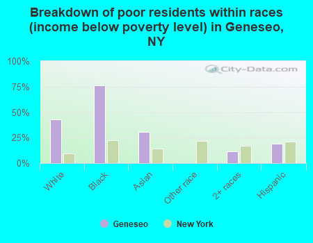 Breakdown of poor residents within races (income below poverty level) in Geneseo, NY