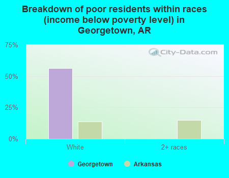 Breakdown of poor residents within races (income below poverty level) in Georgetown, AR