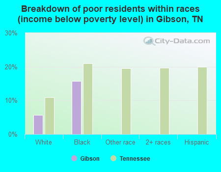 Breakdown of poor residents within races (income below poverty level) in Gibson, TN