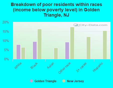 Breakdown of poor residents within races (income below poverty level) in Golden Triangle, NJ