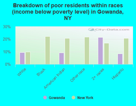 Breakdown of poor residents within races (income below poverty level) in Gowanda, NY