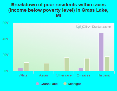 Breakdown of poor residents within races (income below poverty level) in Grass Lake, MI
