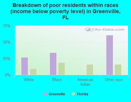 Breakdown of poor residents within races (income below poverty level) in Greenville, FL
