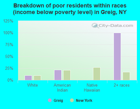 Breakdown of poor residents within races (income below poverty level) in Greig, NY