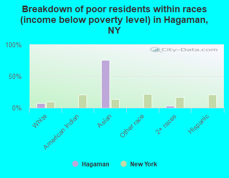 Breakdown of poor residents within races (income below poverty level) in Hagaman, NY