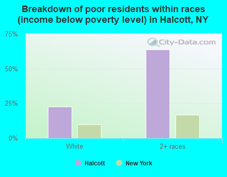 Breakdown of poor residents within races (income below poverty level) in Halcott, NY