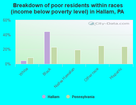 Breakdown of poor residents within races (income below poverty level) in Hallam, PA