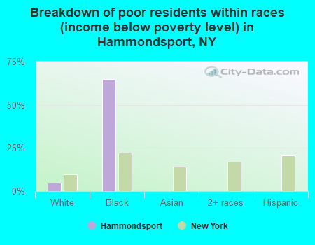 Breakdown of poor residents within races (income below poverty level) in Hammondsport, NY