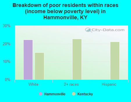 Breakdown of poor residents within races (income below poverty level) in Hammonville, KY