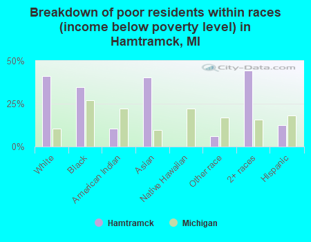 Breakdown of poor residents within races (income below poverty level) in Hamtramck, MI