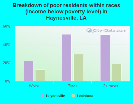 Breakdown of poor residents within races (income below poverty level) in Haynesville, LA