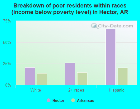 Breakdown of poor residents within races (income below poverty level) in Hector, AR