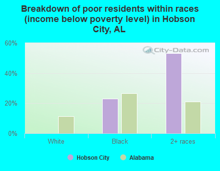 Breakdown of poor residents within races (income below poverty level) in Hobson City, AL