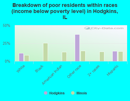 Breakdown of poor residents within races (income below poverty level) in Hodgkins, IL