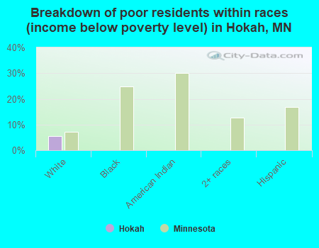 Breakdown of poor residents within races (income below poverty level) in Hokah, MN