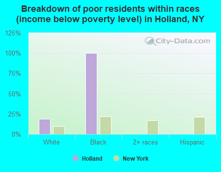 Breakdown of poor residents within races (income below poverty level) in Holland, NY