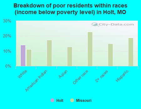 Breakdown of poor residents within races (income below poverty level) in Holt, MO