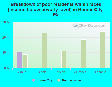Breakdown of poor residents within races (income below poverty level) in Homer City, PA