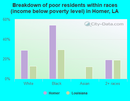 Breakdown of poor residents within races (income below poverty level) in Homer, LA