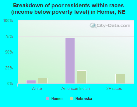 Breakdown of poor residents within races (income below poverty level) in Homer, NE