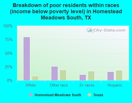 Breakdown of poor residents within races (income below poverty level) in Homestead Meadows South, TX